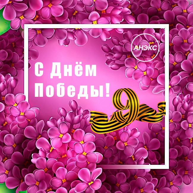 Intro Image